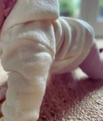 Cosilana wollen jas stof