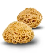 Cocoon Company - Honingraat wollen zeespons - 13-14 cm