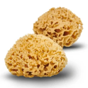 Cocoon Company - Honingraat wollen zeespons - 13-14 cm