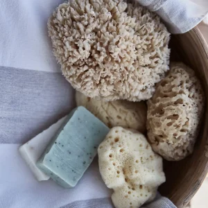 Cocoon Company - Zeesponsen