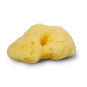 Cocoon Company - Zijden zeespons - 4-5 cm