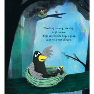 Coco kan het! Inkijkexemplaar (1)